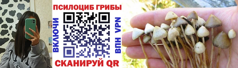 Псилоцибиновые грибы Magic Shrooms  Мариинск 